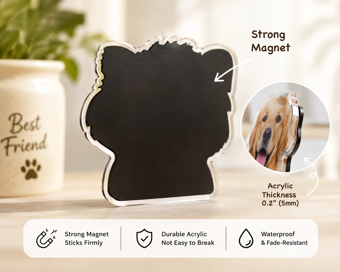 Magnetic backing detail
