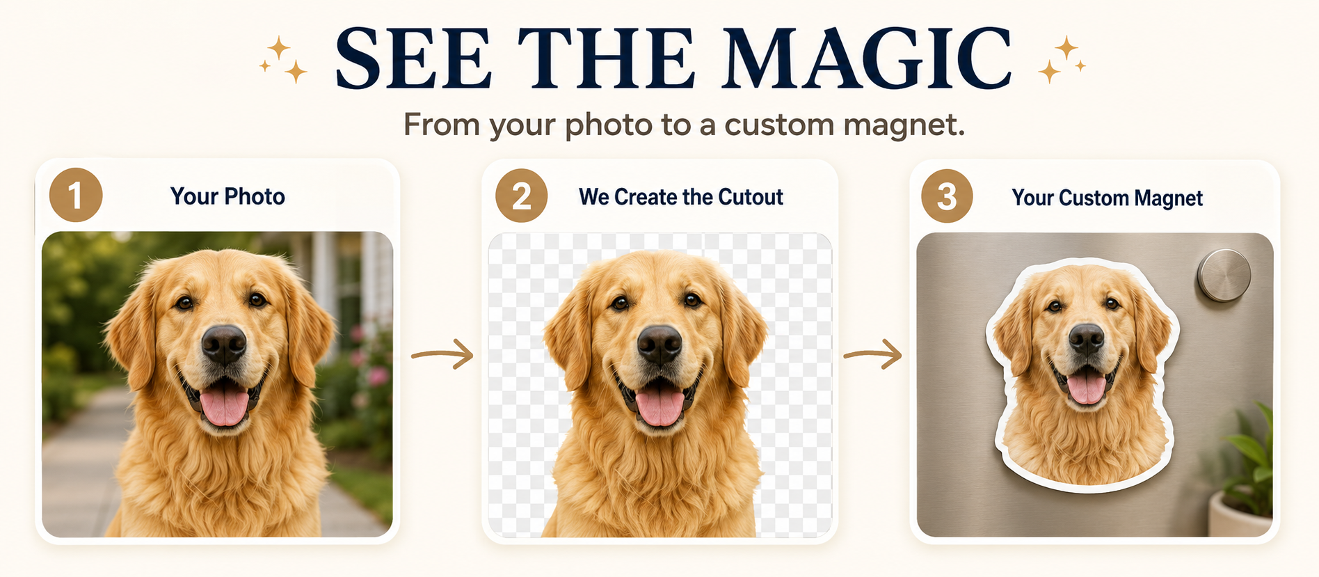 SEE THE MAGIC