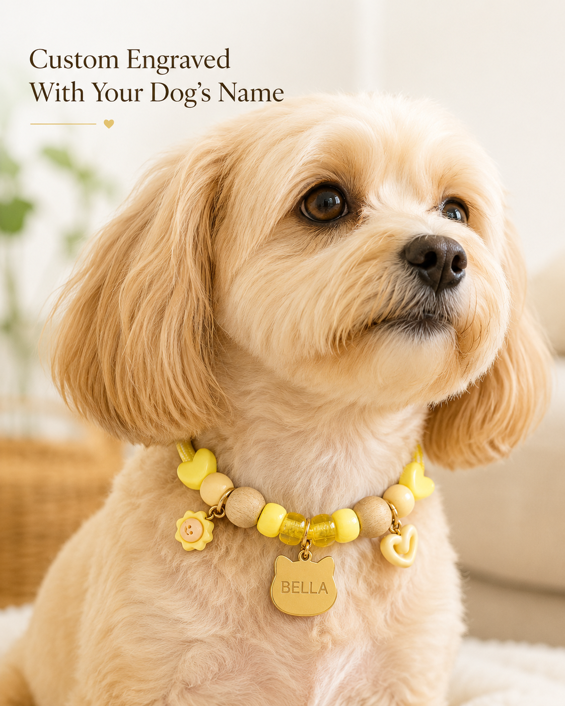 Custom Sunshine Dog Name Collar